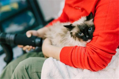 開一家寵物用品店需要多少啟動資金？